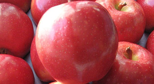 Buy SweeTango Apples Online