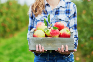First Kiss Apples